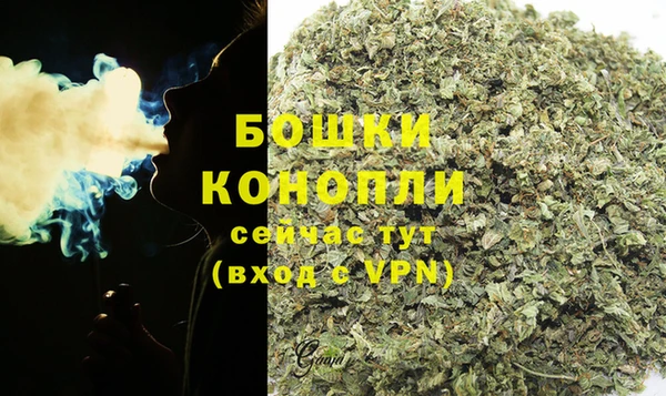сатива Нягань