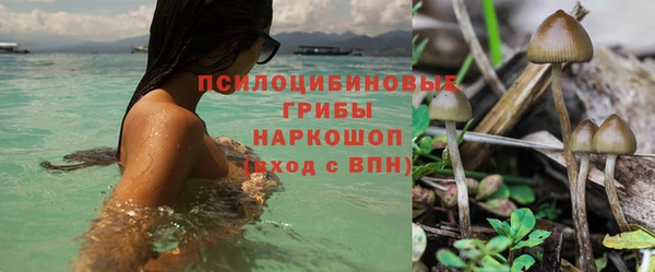 сатива Нягань