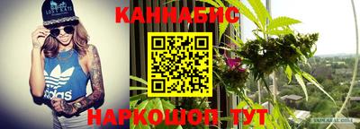 дмт Будённовск