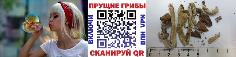 Псилоцибиновые грибы Magic Shrooms Сатка
