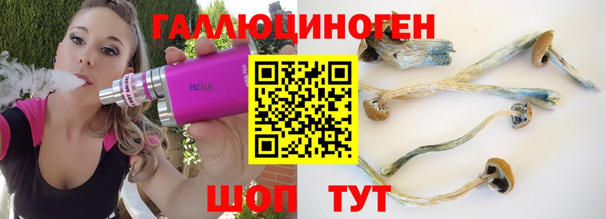 Сатка  Галлюциногенные грибы Psilocybe  Вход с VPN 