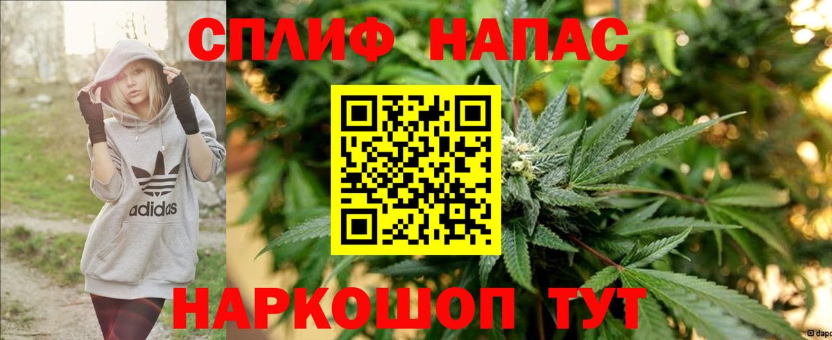 Конопля Сатка